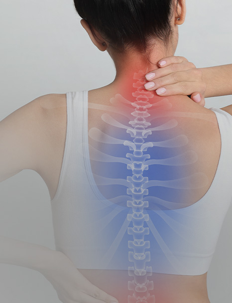 Bandi Stand, Innovative ergonomic wellness solutions